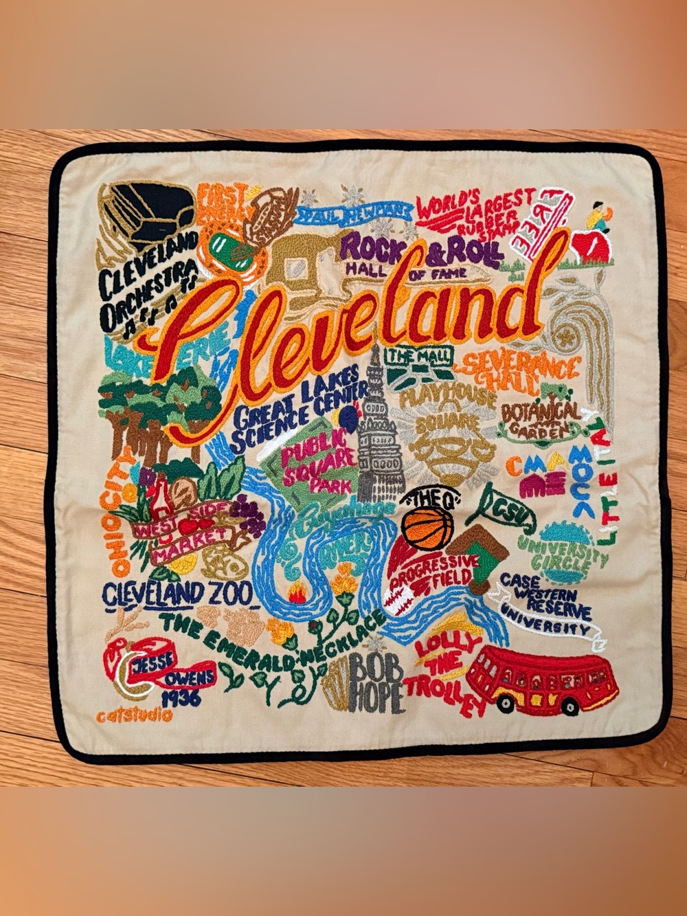 Hand embroidered Cleveland highlights pillow cover. 20” square.